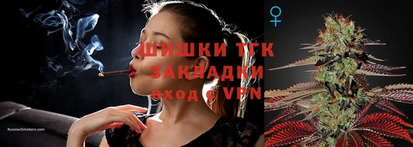 прущие крисы Гусев