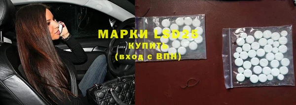 прущие крисы Гусев