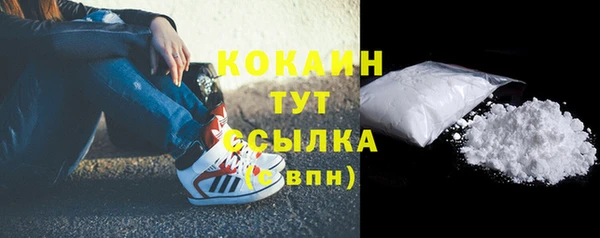 гидра Гусиноозёрск