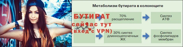 гидра Гусиноозёрск