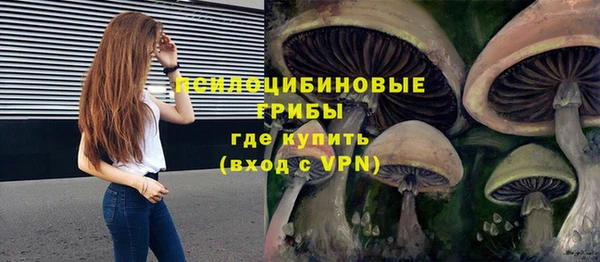 прущие крисы Гусь-Хрустальный