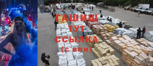 гидра Гусиноозёрск
