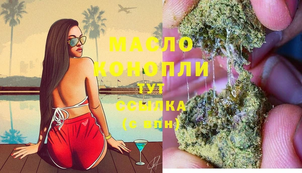 гидра Гусиноозёрск