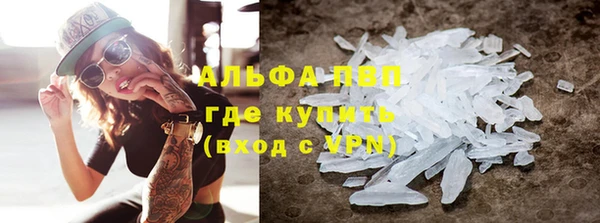 гидра Гусиноозёрск