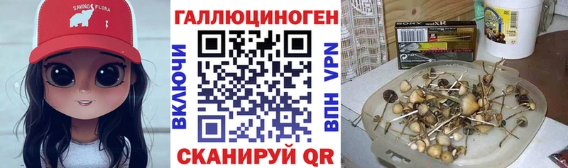 Купить  Сухиничи  Псилоцибиновые грибы Cubensis 